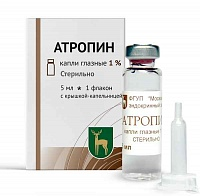 АТРОПИН КАПЛИ ГЛ. 1% 5МЛ в Красноярске