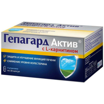 ГЕПАГАРД АКТИВ КАПС. 360МГ №120 БАД в Перми