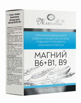 МАГНИЙ В6+В1,В9 ТАБ. 1500 №60 БАД в Петрозаводске