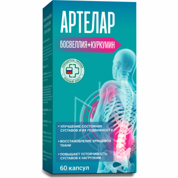 АРТЕЛАР БОСВЕЛЛИЯ + КУРКУМИН КАПС. №60 БАД в Казань